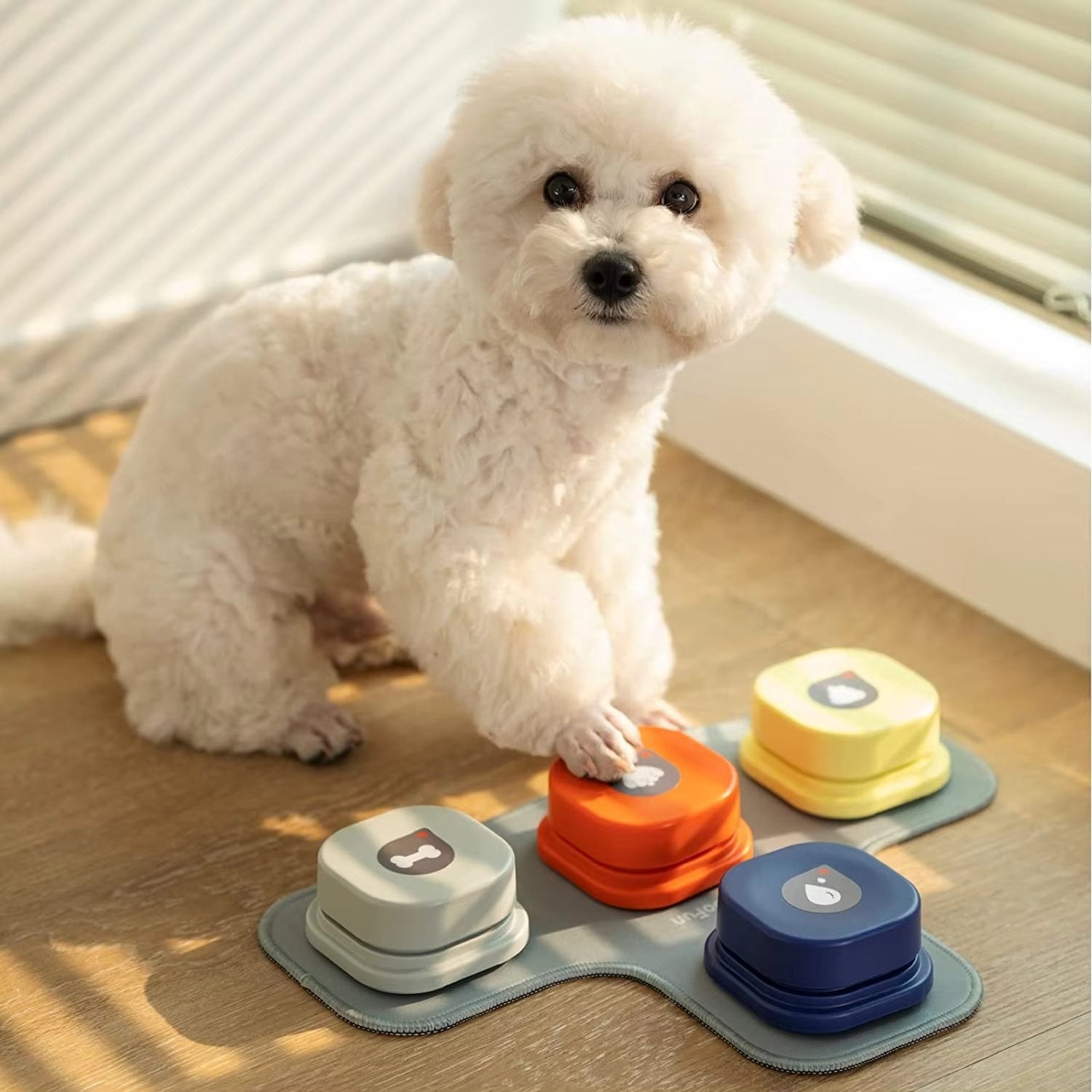 Mejora la Comunicación con tu Perro Usando Botones Inteligentes