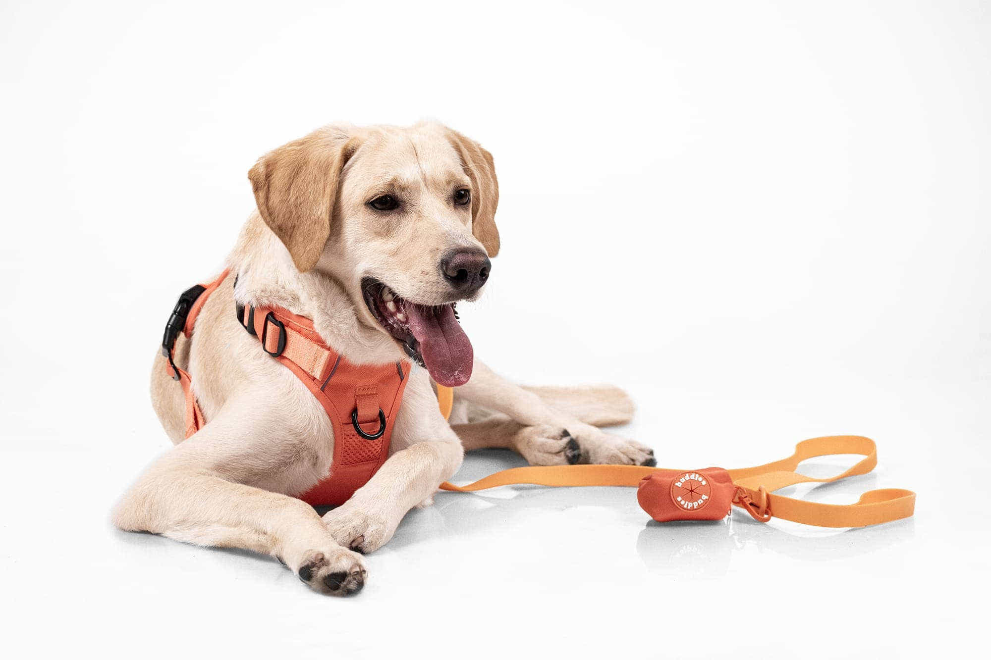 Set Pechera Naranja | Arnés No Pull + Correa PVC + Poop Bag