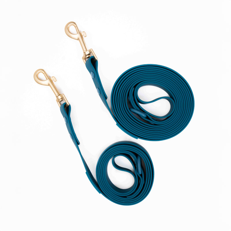 Set Completo Azul | Arnés No Pull + Collar PVC + Correa PVC + Poop Bag