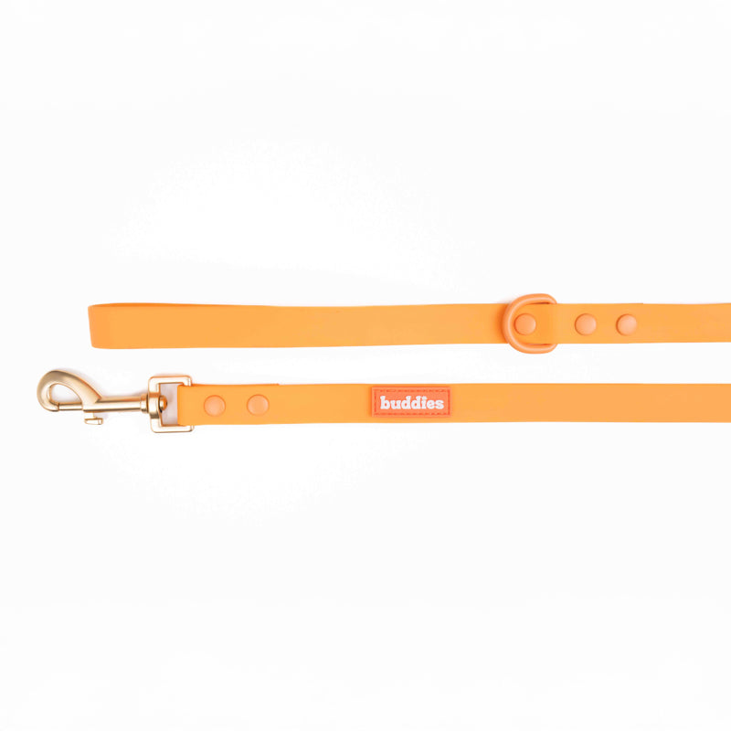 Dúo Correa Naranja | Correa PVC + Poop Bag