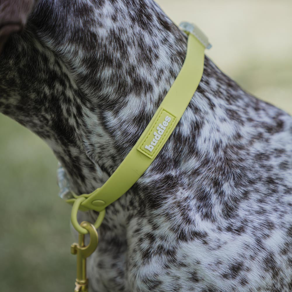 Verde | Collar PVC