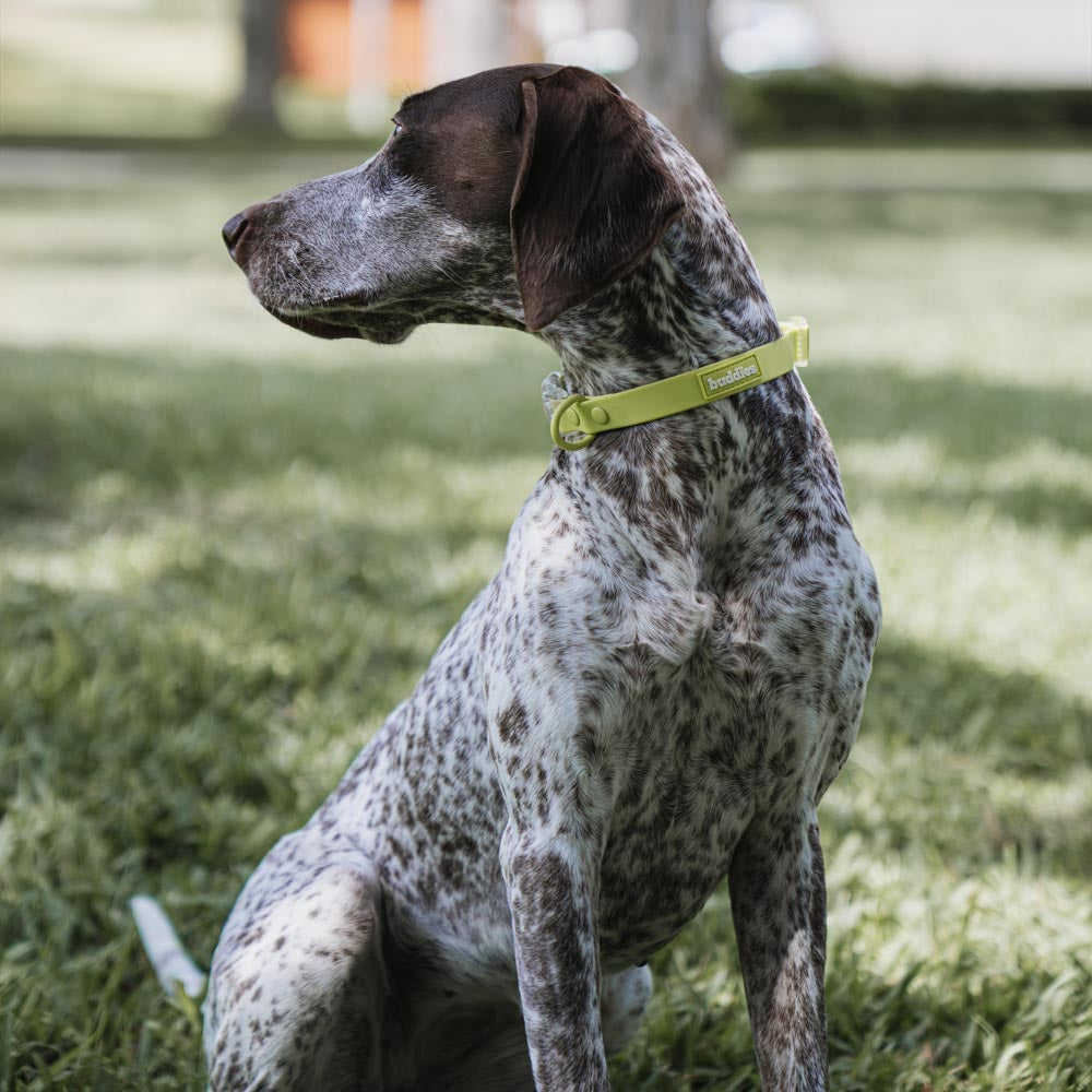 Verde | Collar PVC
