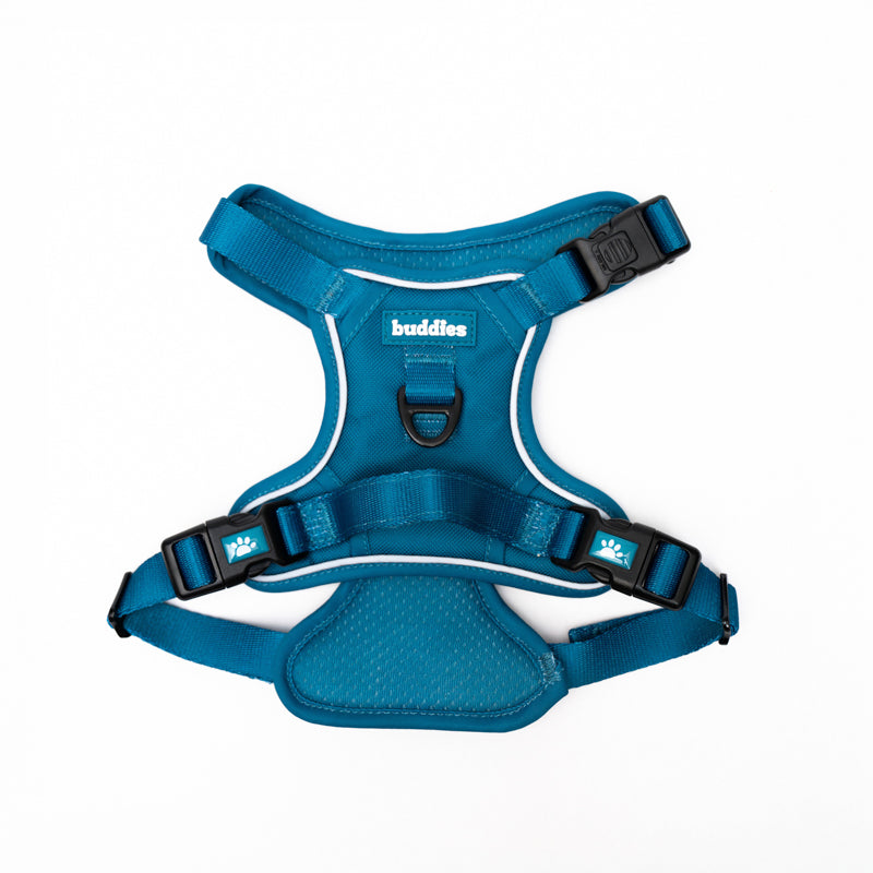 Set Completo Azul | Arnés No Pull + Collar PVC + Correa PVC + Poop Bag