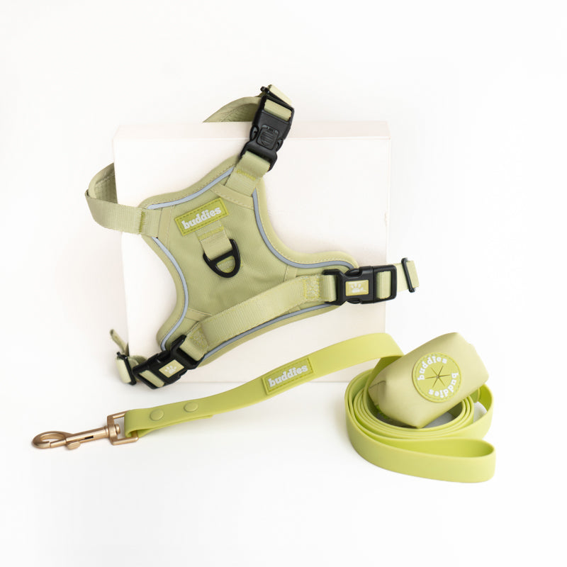 Set Pechera Verde | Arnés No Pull + Correa PVC + Poop Bag