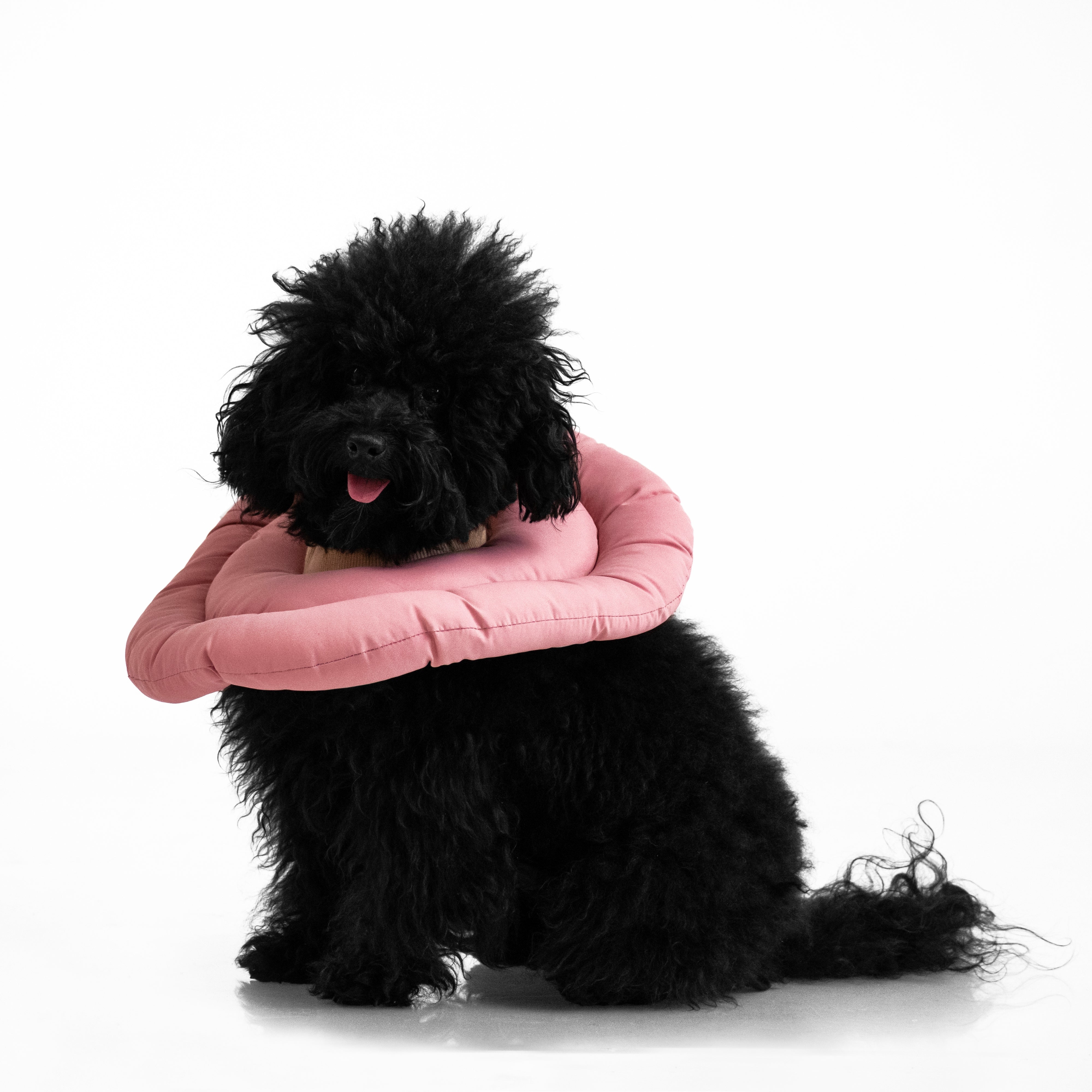 Rosado | Donut Anti-Lamidos