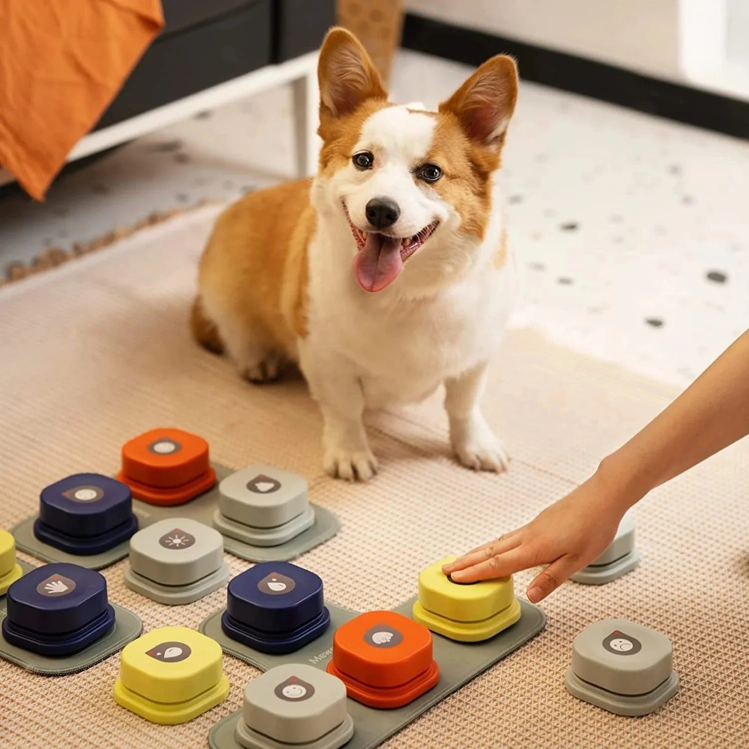Cómo comunicarte mejor con tu perro: Herramientas para entender a tu Buddy