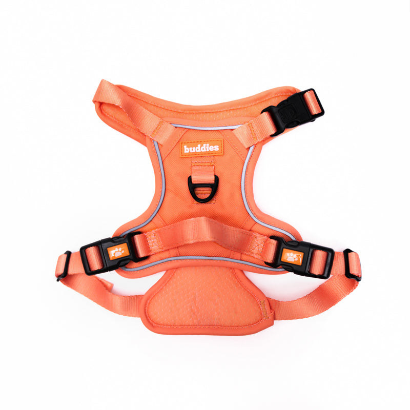 Naranja | Arnés No Pull