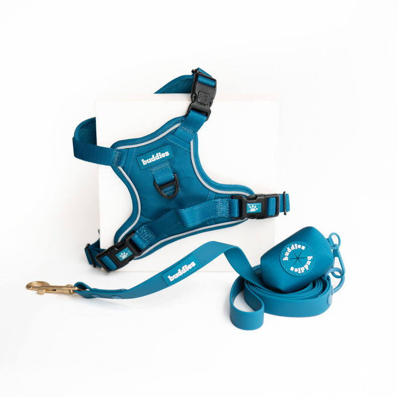 Azul | Arnés No Pull + Correa PVC + Poop Bag