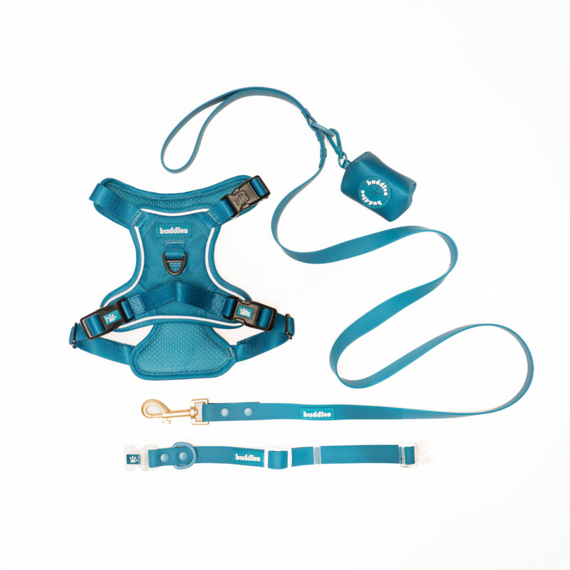 Set Completo Azul | Arnés No Pull + Collar PVC + Correa PVC + Poop Bag