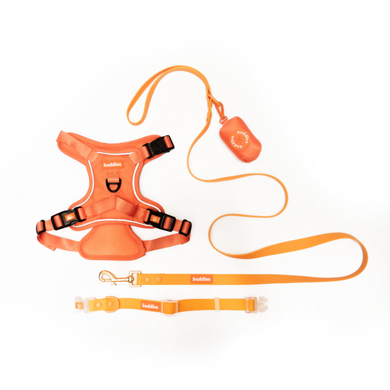Set Completo Naranja | Arnés No Pull + Collar PVC + Correa PVC + Poop Bag